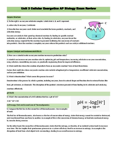 Unit 3 Cellular Energetics AP Bio Exam Review - Unit 3 Cellular ...