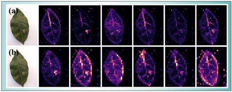 Study on the Tea Pest Classification Model Using a Convolutional and ...