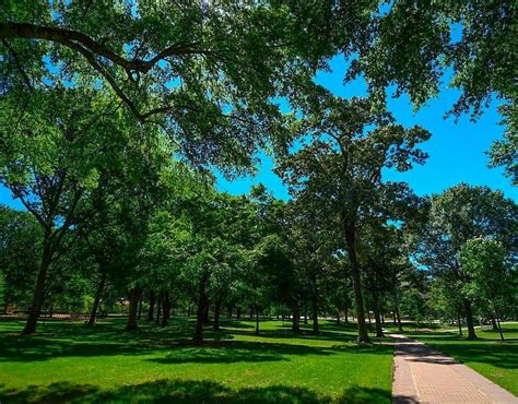 THE GROVE - All You Need to Know BEFORE You Go 2026 (with Photos ...
