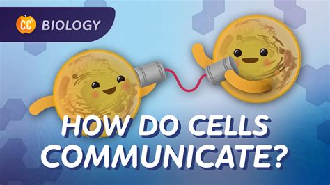 Image result for Crash Course Cell Structure