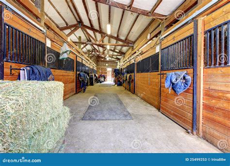 Stable 的图像结果