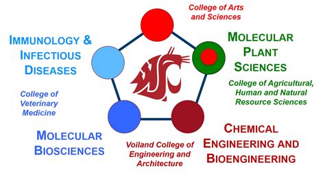 Biotechnology Training Programs 的图像结果