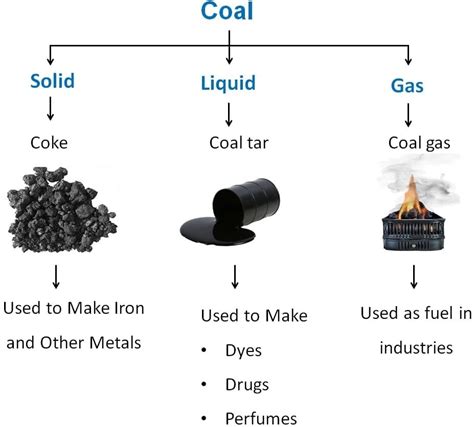 Coal and Petroleum Class 8 Notes Science Chapter 3 Free PDF