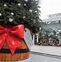 Image result for Christmas Tree Tradition