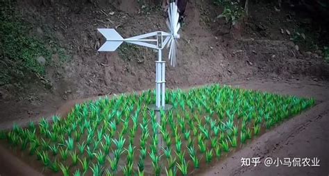 稻田自动灌溉风力水泵1天浇灌6亩地，农村小哥200元造一台，厉害 - 知乎