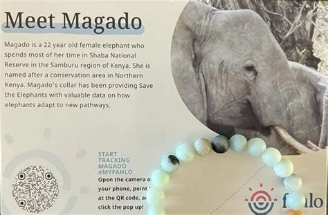 Image result for Stuffed Animals with QR Code Scanner