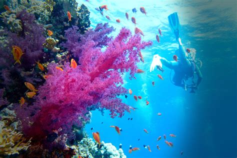 Last minute travel insurance