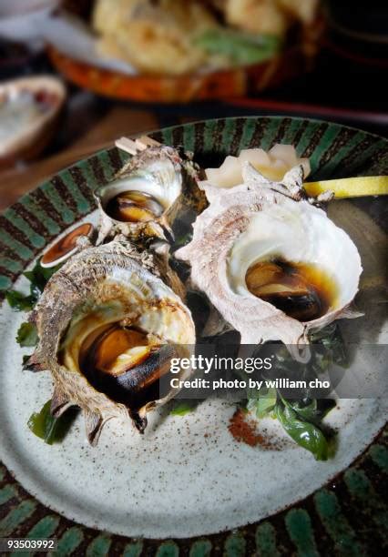 Image result for Conch Shell Food