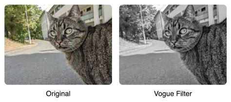 Image result for Visual Comparison