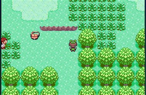 Image result for Pokemon Randomizer Rom Hack GBA