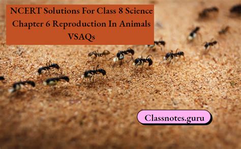 Image result for NCERT Class 8 Science Lesson 6