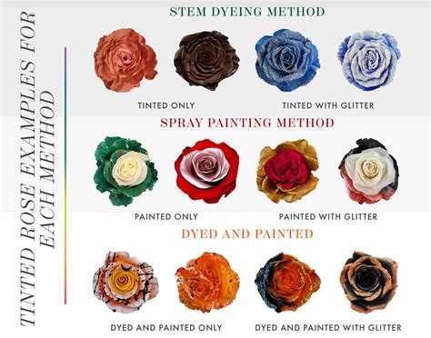 Behind the Scenes: How We Create our Stunning Rio Tinted Roses - Rio Roses