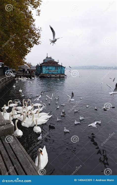 Herzbaracke Cabaret-theatre in Zurich Switzerland Editorial Stock Image ...
