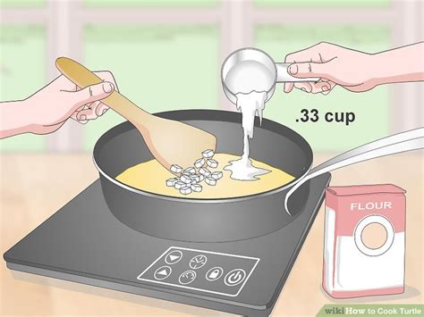 Image result for Cook Turtle