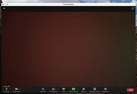 How to turn your video off on Zoom—without anyone noticing | Zapier