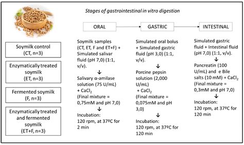 Impact of Enzymatic Soymilk Isoflavones Biotransformation for Improved ...