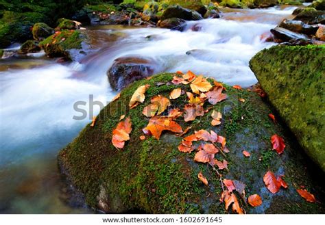 High Resolution Waterfall 的图像结果