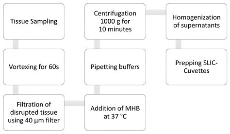 A Novel Approach for Tissue Analysis in Joint Infections Using the ...