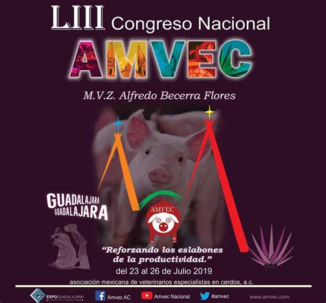 Congreso Nacional AMVEC 2019