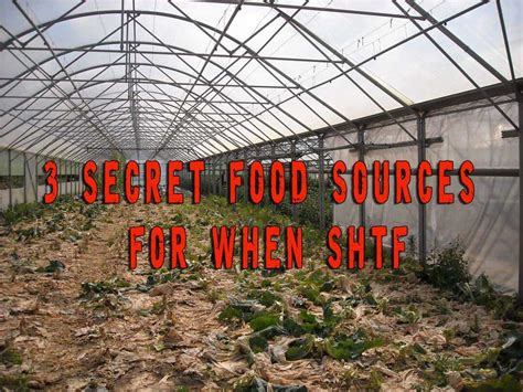 Image result for SHTF Cooking Tips