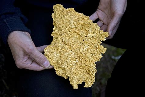 Element Examples 的图像结果