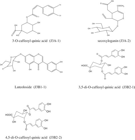 Compound 的图像结果