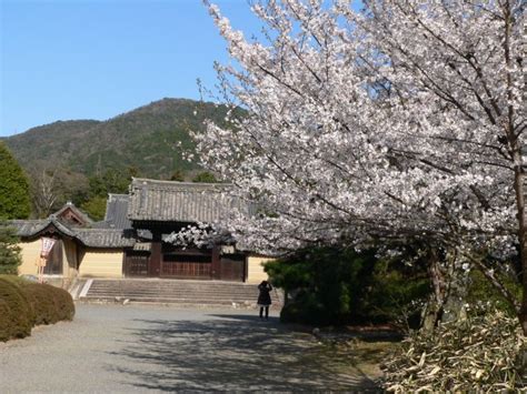 Image result for Block Layout HTML