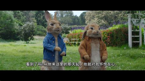 [4K]比得兔2：逃跑计划 Peter Rabbit 2: The Runaway (2021) - 机友俱乐部