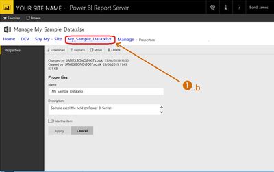 Solved: How to Access Excel or CSV Files Saved on Power BI ...