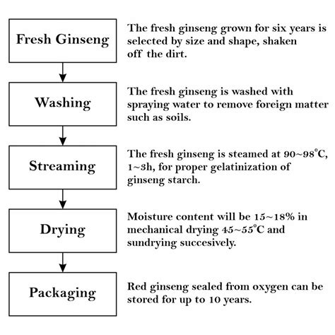 Korean Red Ginseng – Keya Seth Aromatherapy