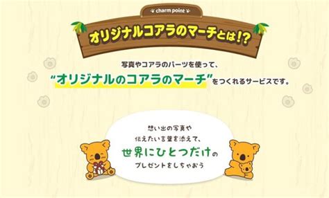 Japanischer Hersteller für Süßigkeiten hilft seit Jahren den Koalas in ...