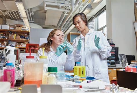 Image result for MIT of a Thread