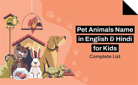 Pet Animals Name in English & Hindi for Kids (100+ List)
