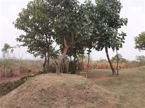 DEVS CAMP (Dholikui) - Campground Reviews, Photos, Rate Comparison ...