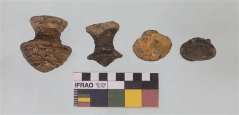Traces of Chalcolithic-Bronze, Iron and Urban Culture found during ...