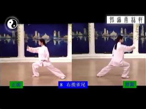 DV1009 - 42 Movements Tai Chi 42式太极拳 (DV1009) by ...