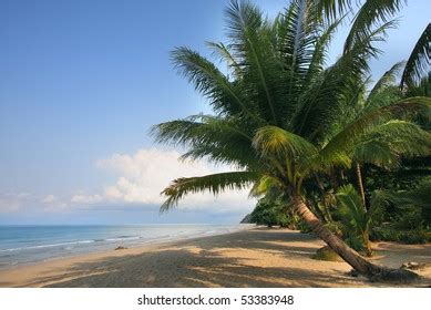 Image result for 3D License Paper