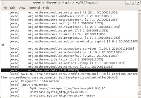 NetBeans Java with Ant Run the Project 的图像结果