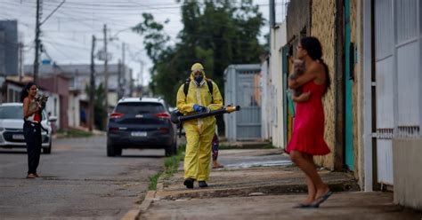 South America Dengue Increase Brings Vaccination Drive