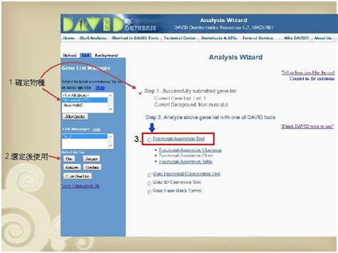 Image result for David Database Tutorial