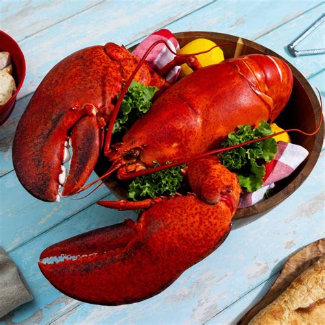 Maine Lobster Prices 2024: Best Time to Buy & Factors That Affect Costs