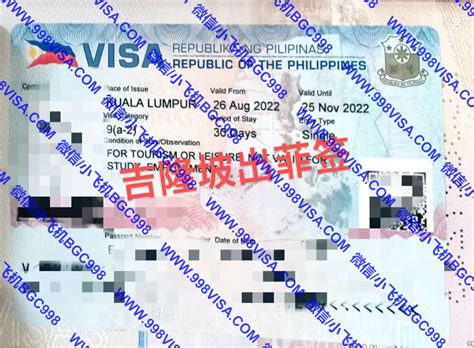 2019最强新加坡签证攻略：10年多次往返、96小时过境签、担保反签......__凤凰网