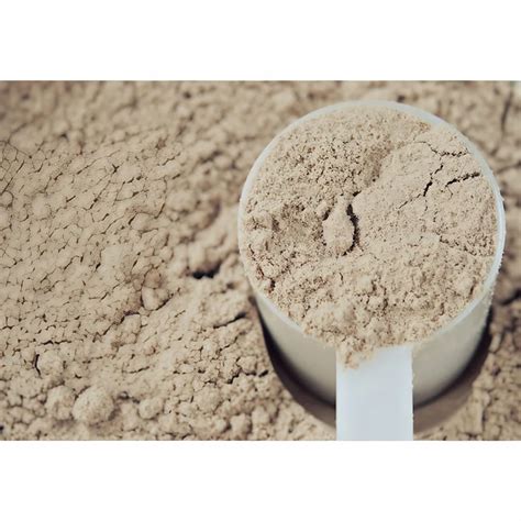 Protein Supplements - Lycopene Protein Powder Manufacturer from Surat