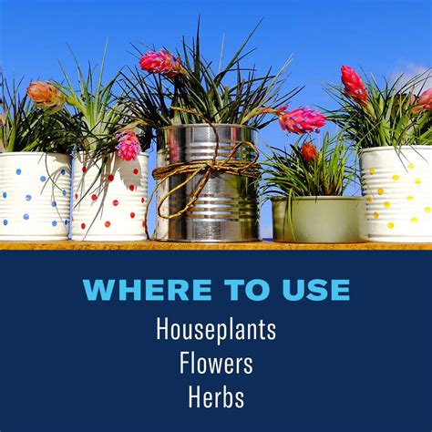 BioAdvanced Houseplant Insect & Mite Control 24oz India | Ubuy