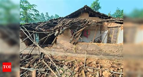 Three including minor boy killed in elephant rampage in Chhattisgarh’s ...