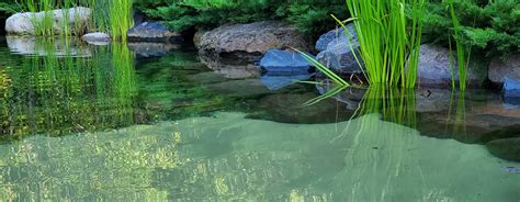 Swimming Pool Water 的图像结果