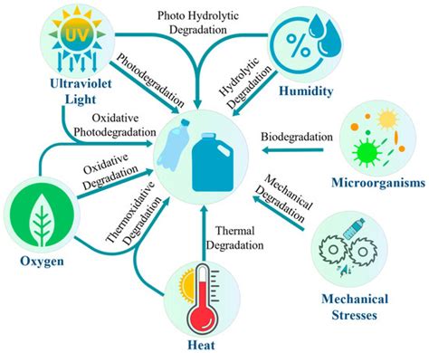 Advancing Plastic Recycling: Challenges and Opportunities in the ...