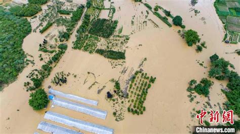 航拍江西九江多地城乡洪涝画面：道路积水农田受淹
