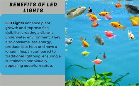 Tunai+ KW BT112 All-in-One DIY Aquarium Fish Tank Comes with Filter and ...
