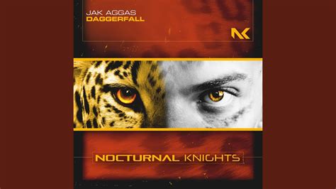 Image result for Daggerfall Intro